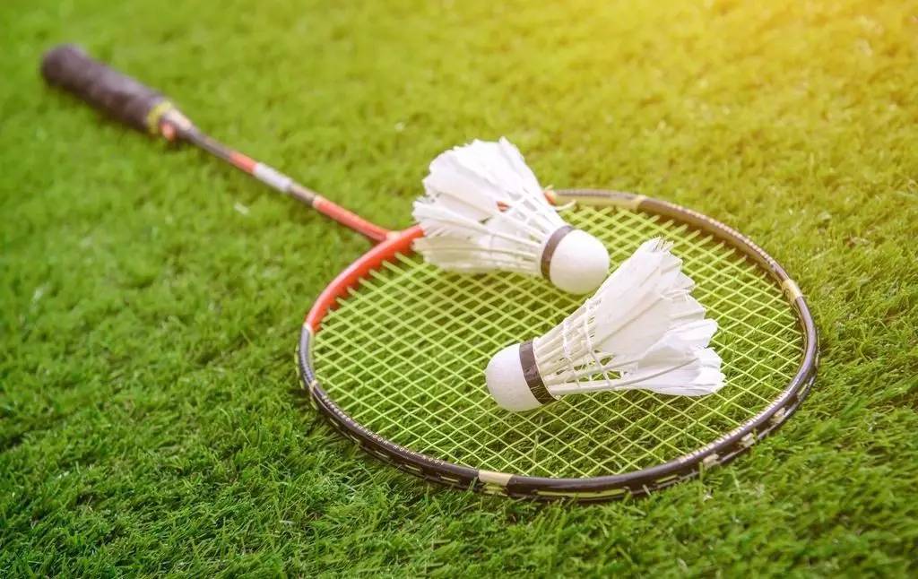 它展示了球 它展示了球