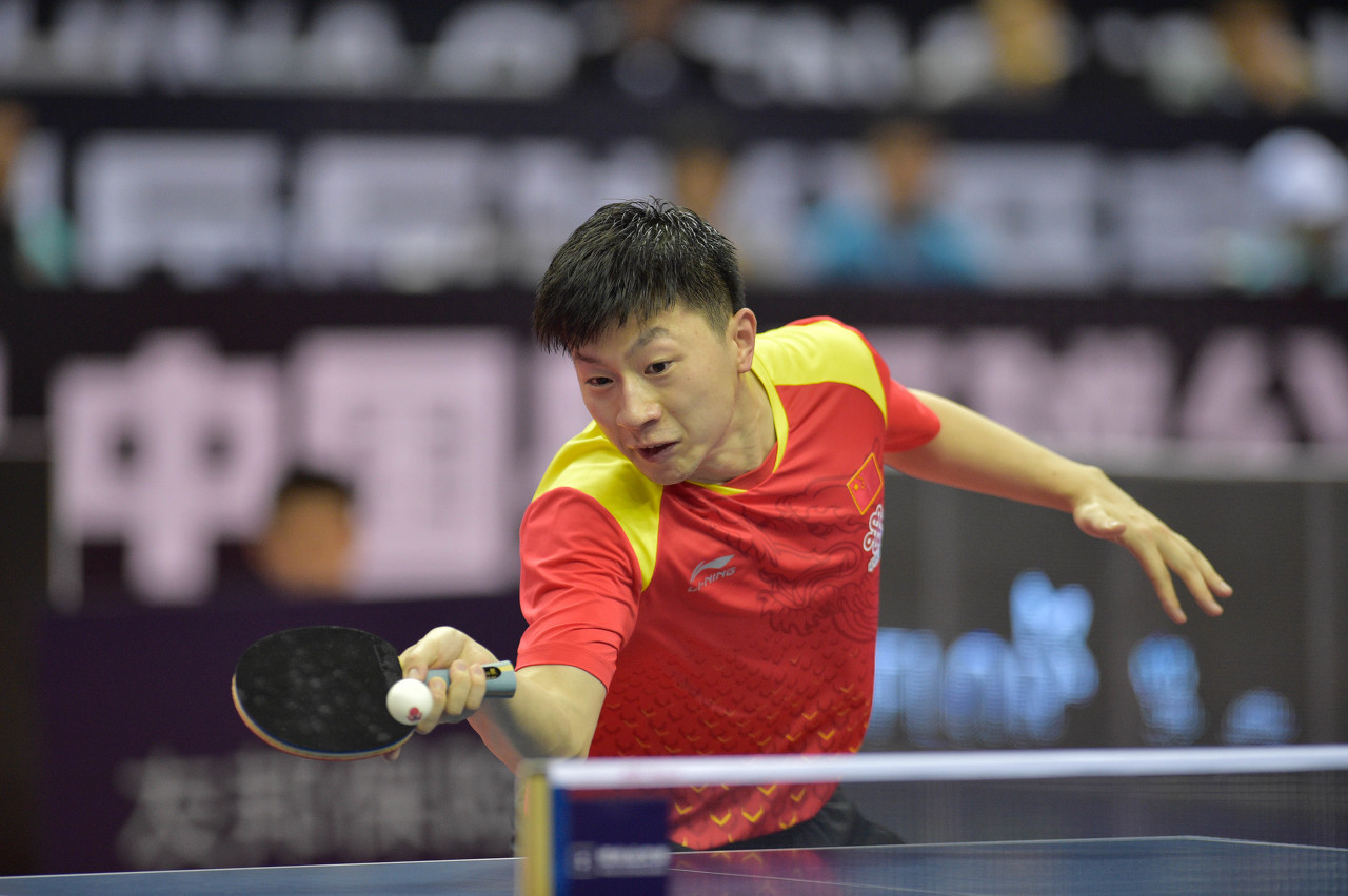 庭的全新定 庭的全新定